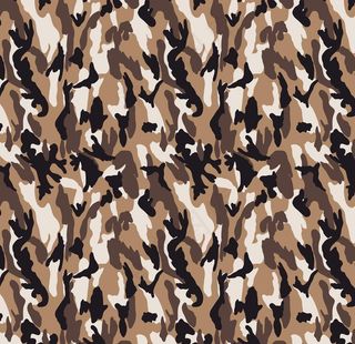 大牌  迷彩图片