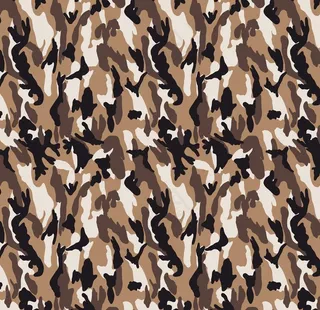 大牌  迷彩图片