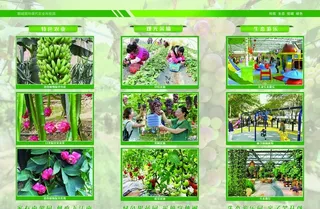 采摘园 生态园单页 板图片