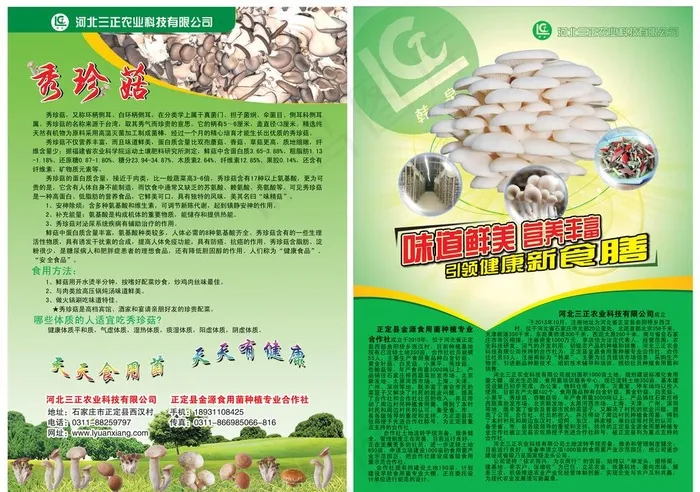 秀珍菇宣传单图片(7087X5197(DPI:300))psd模版下载