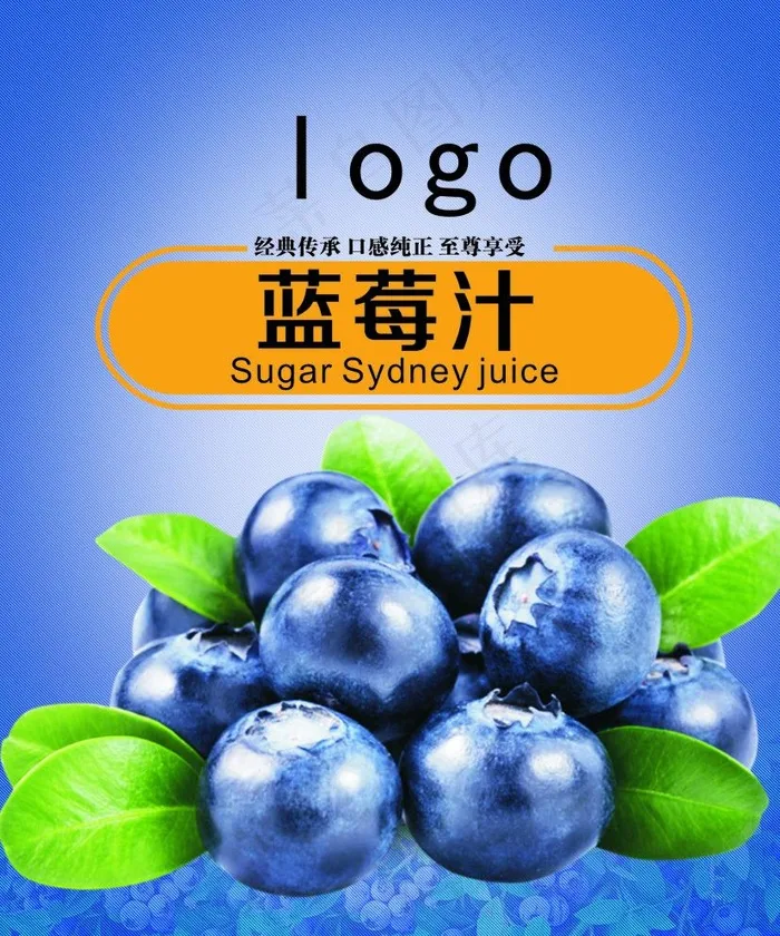 蓝莓汁海报图片cdr矢量模版下载