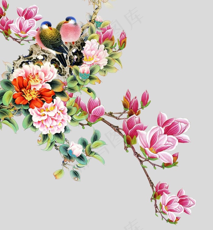 牡丹花图片(5423X5669(DPI:72))psd模版下载