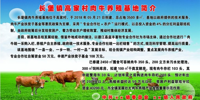 肉牛养殖基地 肉牛养殖图片