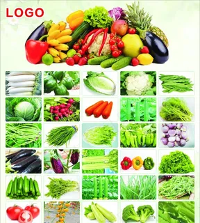有机蔬菜海报图片