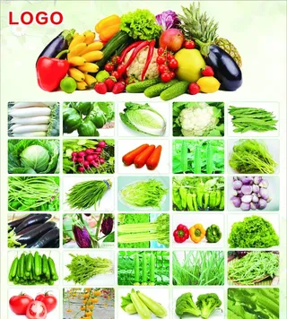 有机蔬菜海报图片