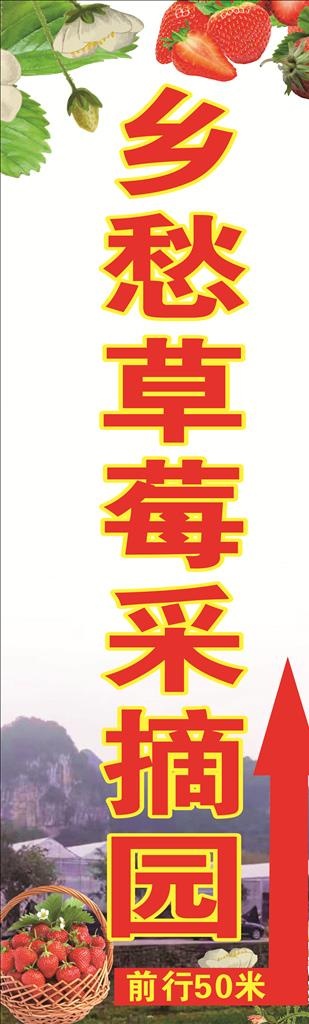 草莓采摘园图片