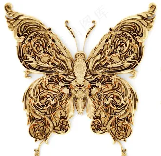 金蝴蝶图片