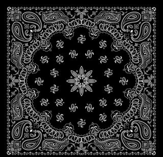 佩斯利花纹图片