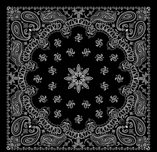 佩斯利花纹图片