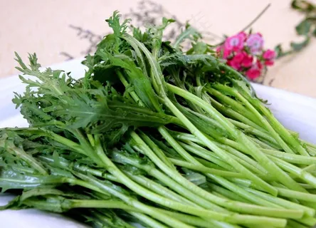 皇帝菜图片 皇帝菜图片