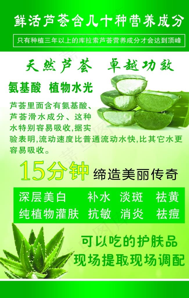 芦荟图片
