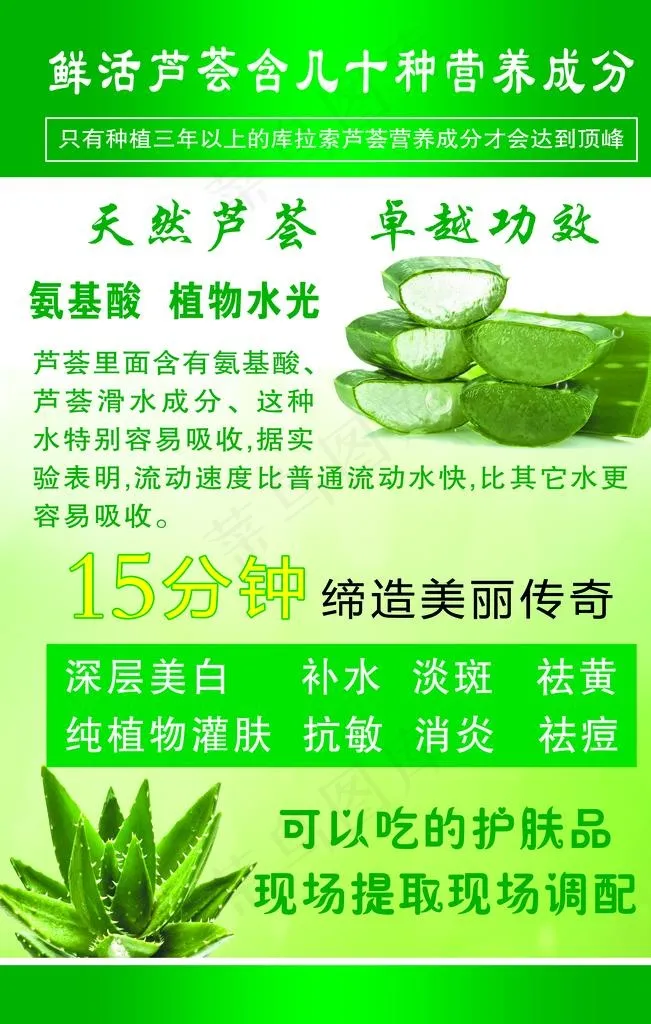 芦荟图片