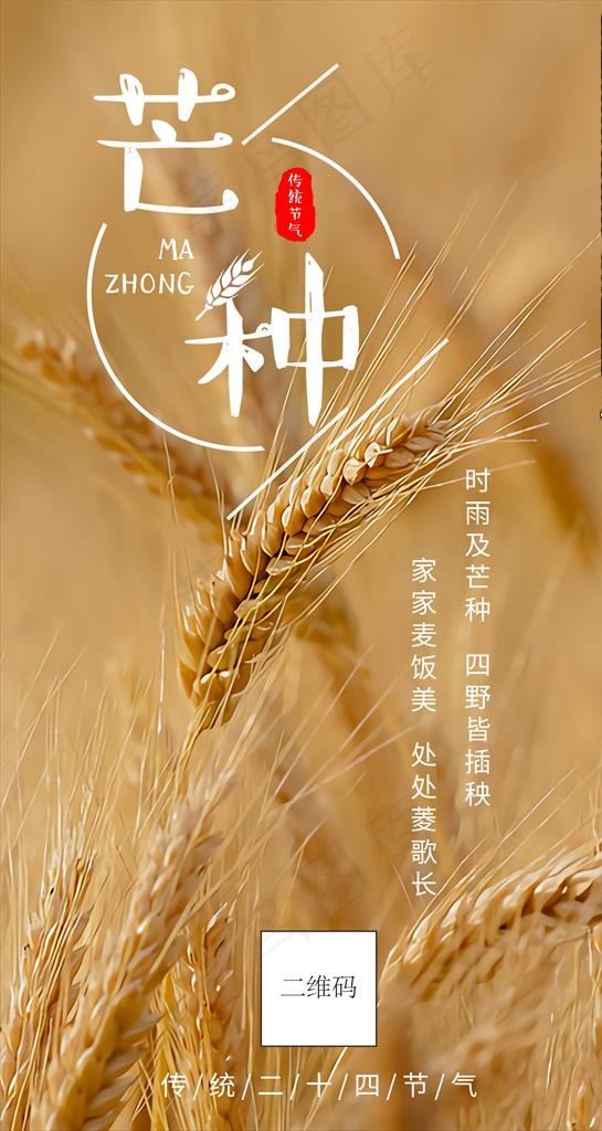 芒种  芒种海报  二十四节气图片