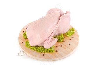 生鸡肉图片