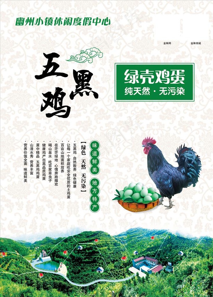 文化墙  五黑鸡绿壳鸡蛋图片(2362X3150(DPI:100))psd模版下载