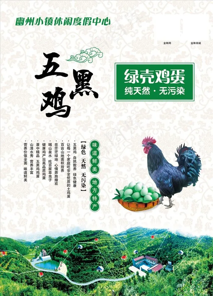 文化墙  五黑鸡绿壳鸡蛋图片(2362X3150(DPI:100))psd模版下载