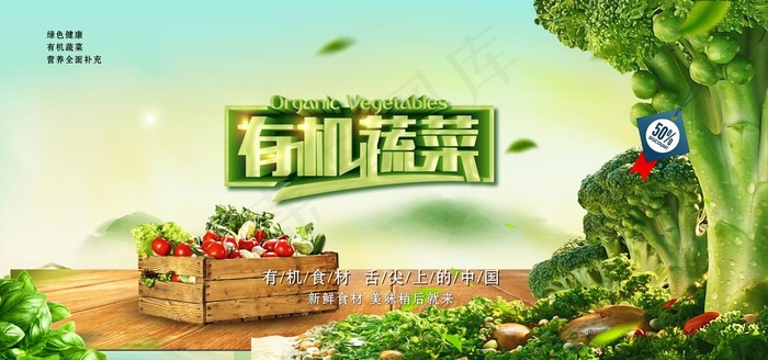有机蔬菜图片