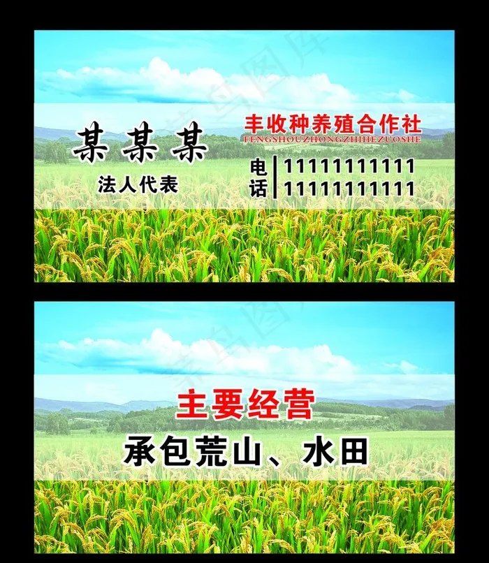 水稻名片图片cdr矢量模版下载
