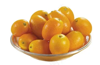 金桔 小橘子图片