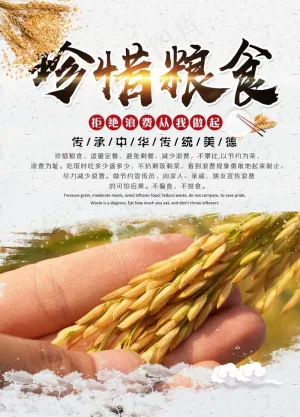 珍惜粮食图片