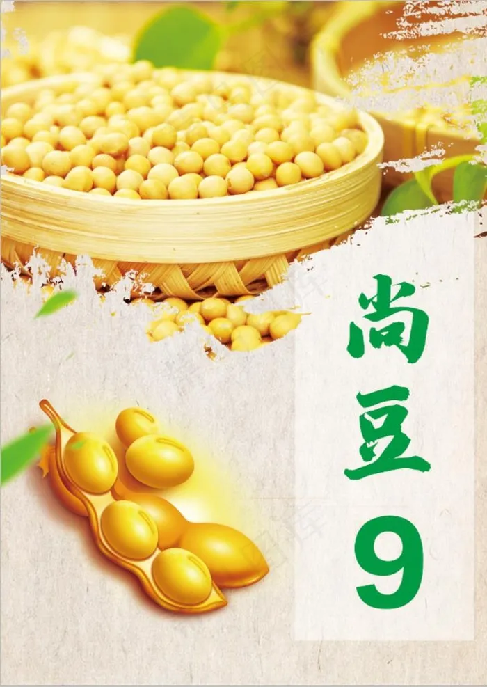 尚豆图片(2528X3413(DPI:300))psd模版下载
