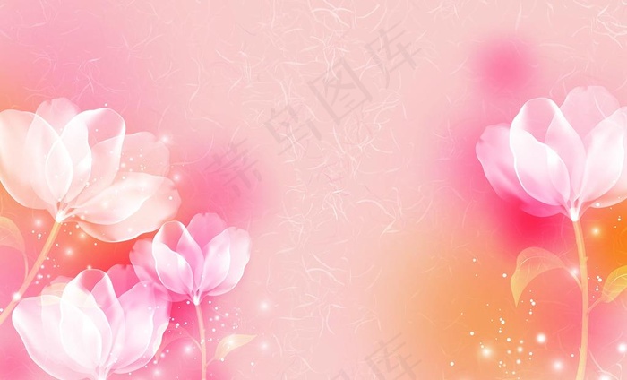花卉壁纸图片
