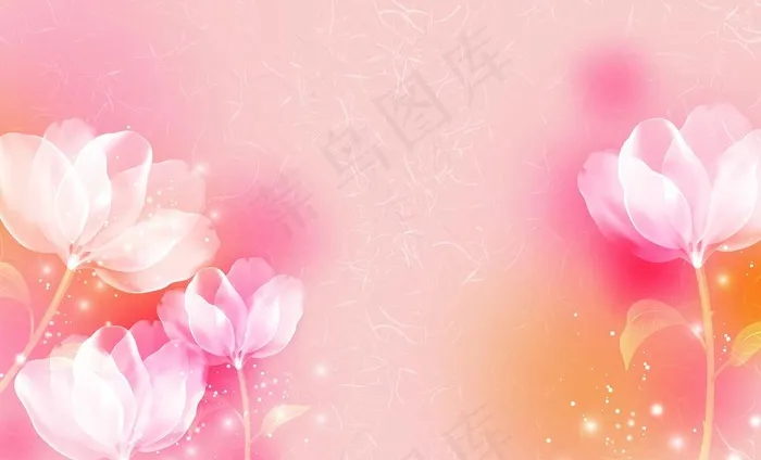 花卉壁纸图片