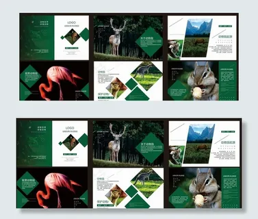 动物世界画册图片