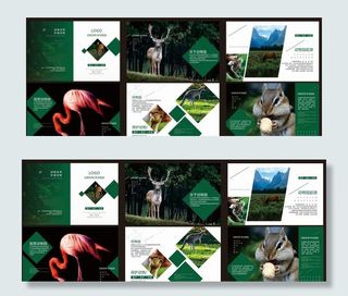 动物世界画册图片