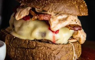 汉堡菜鸟图库片