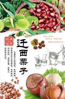 栗子图片
