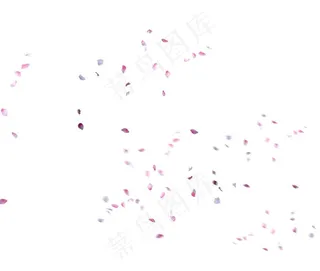 花瓣素材图片