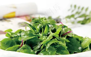 凉拌田七苗图片
