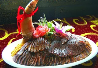 高档菜品 霸王牛头图片