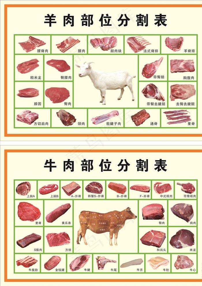 牛羊肉分割图图片(2400X1200)cdr矢量模版下载