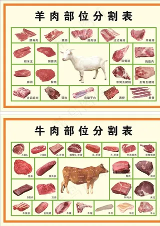 牛羊肉分割图图片
