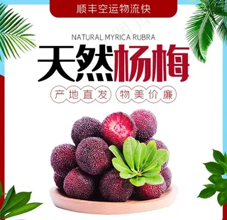 杨梅电商主图图片