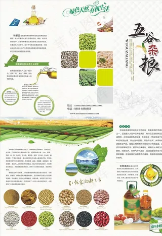 三折页模板图片