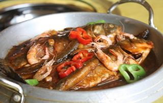 小锅鱼图片