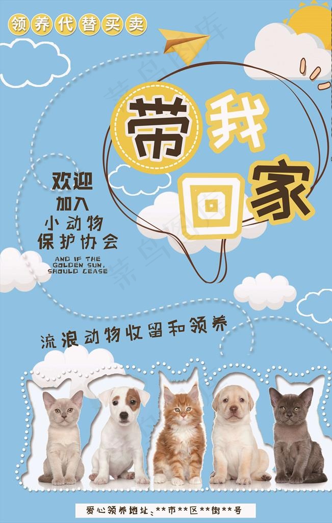 宠物海报图片(3543X5315(DPI:150))psd模版下载