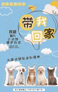 宠物海报图片