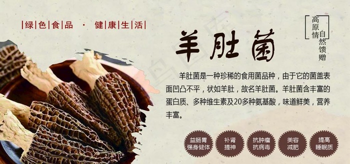 羊肚菌图片psd模版下载