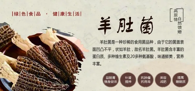 羊肚菌图片 羊肚菌图片