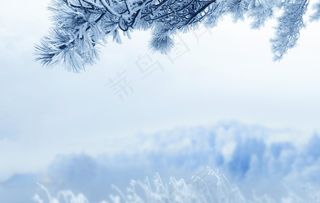 霜降图片