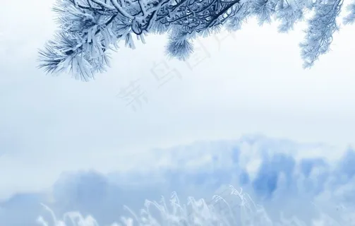 霜降图片 霜降图片