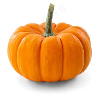 南瓜图片