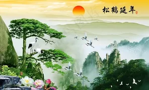 迎客松图片