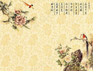 花鸟背景墙图片