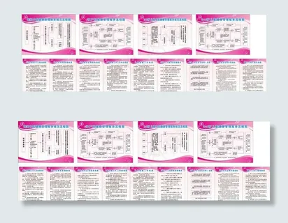 妇幼制度 制度模板图片