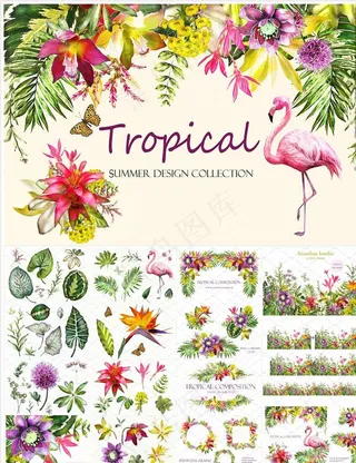 手绘热带花草水彩画元素图片